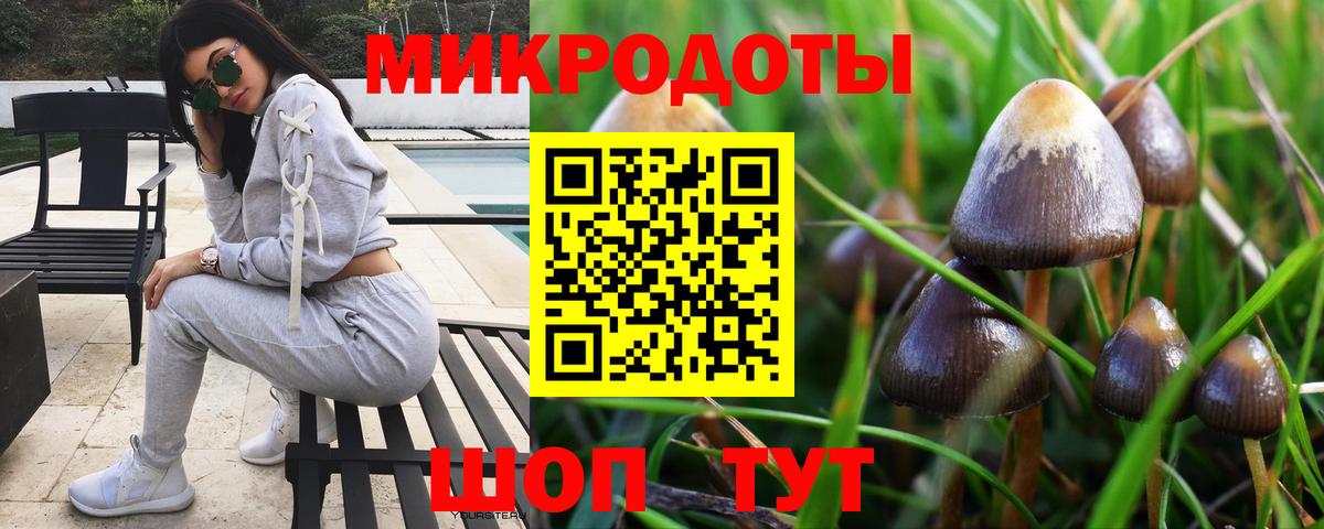 Псилоцибиновые грибы ЛСД  как найти   Вход с VPN  Ногинск  Псилоцибиновые грибы Cubensis 